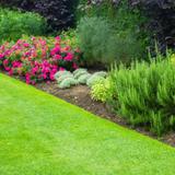 GGS (Guaranteed Garden Services) - Lawn Services in Magill