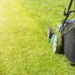 Lawn Mowing Blacktown - photo 1