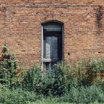 Lawn Mowing Blacktown - photo 2