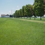 Lawn Mowing Blacktown - photo 3