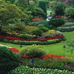 Lawn Mowing Blacktown - photo 5