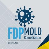 FDP Mold Remediation of Bronx - Home Services in Bronxville
