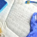 Mold Specialists of Boise - photo 4