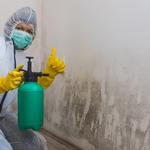 Mold Specialists of Boise - photo 5