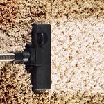 Professional Carpet Cleaning Adelaide  - photo 2