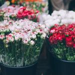 Bayou Blooms Flowers & Gifts - photo 2