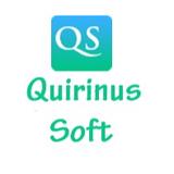Quirinus Solutions Ltd - Web Design & Development in Staines-upon-Thames