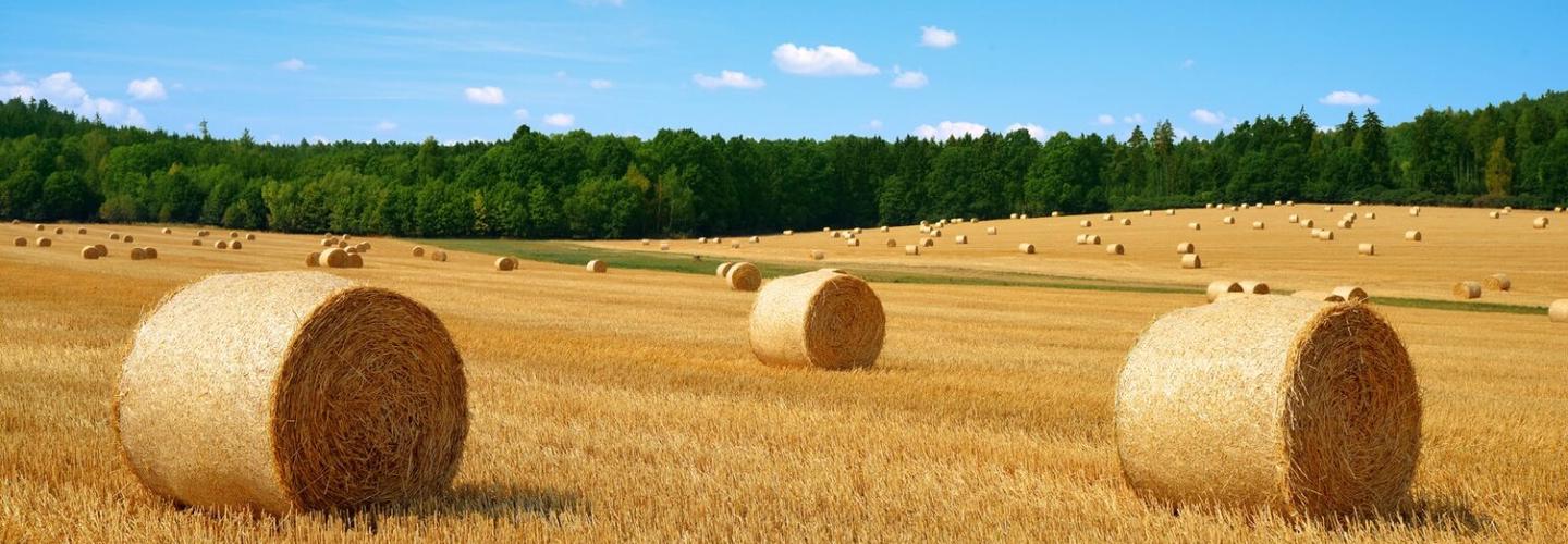 Unipak SA cover photo