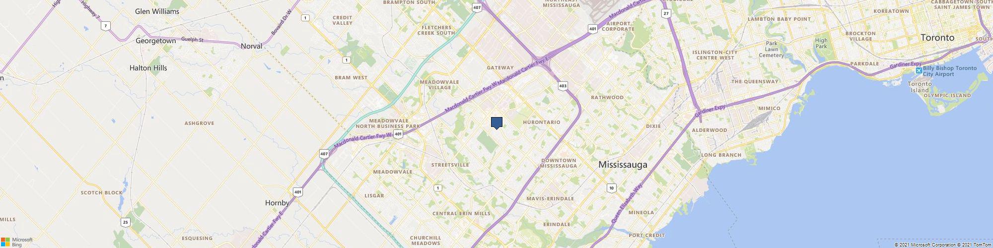 ShroomsOG cover photo