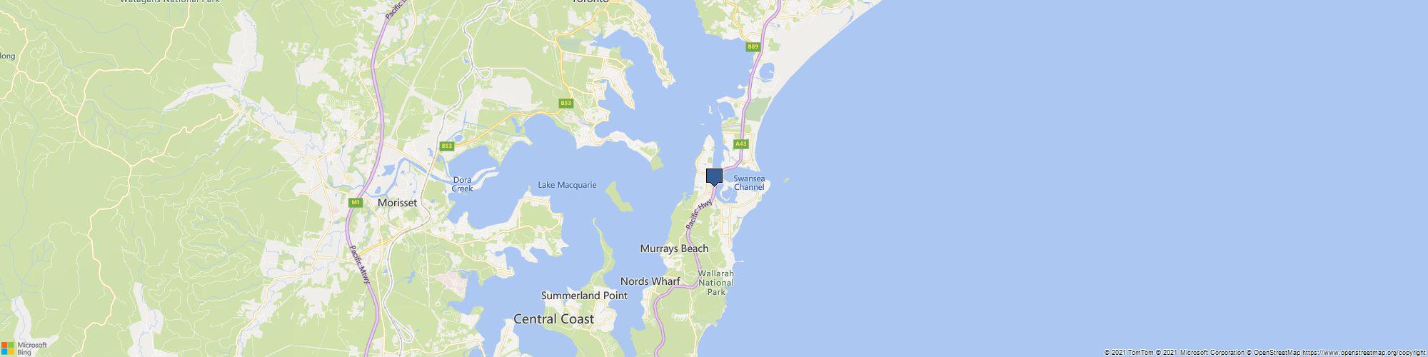 Dentist for chickens cover photo