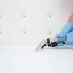 Best Mattress Cleaning Canberra - photo 1