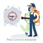 Pest Control Adelaide - photo 1