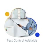 Pest Control Adelaide - photo 3