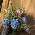 Emilia Flowers - photo 3