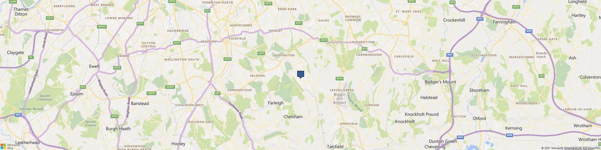 Cafe Dino cover photo