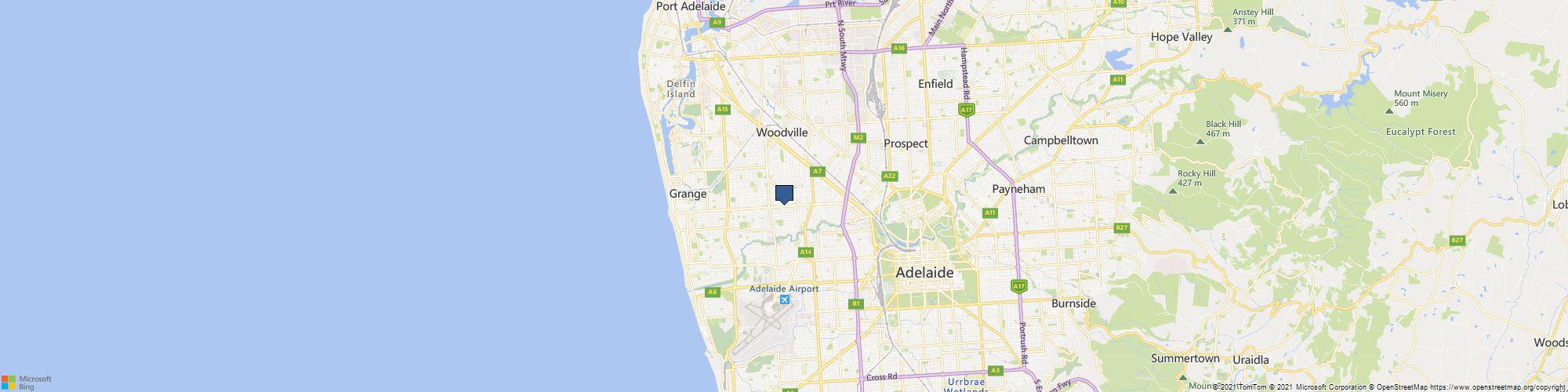 Adelaide Ink Plus cover photo