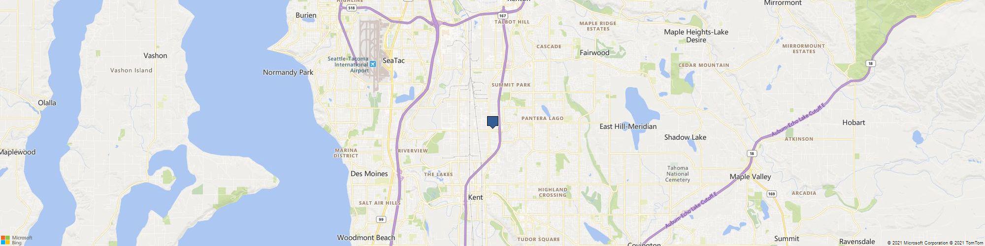 Cosmos Surfaces cover photo