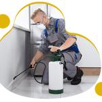 Pest Control Chatswood - photo 1