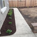 Integrity Landscaping and Concrete - photo 1