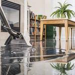 Emergency Flood Restoration Sydney - photo 1