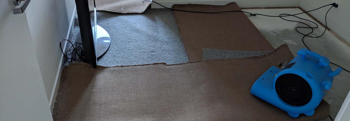 Emergency Flood Restoration Melbourne cover photo