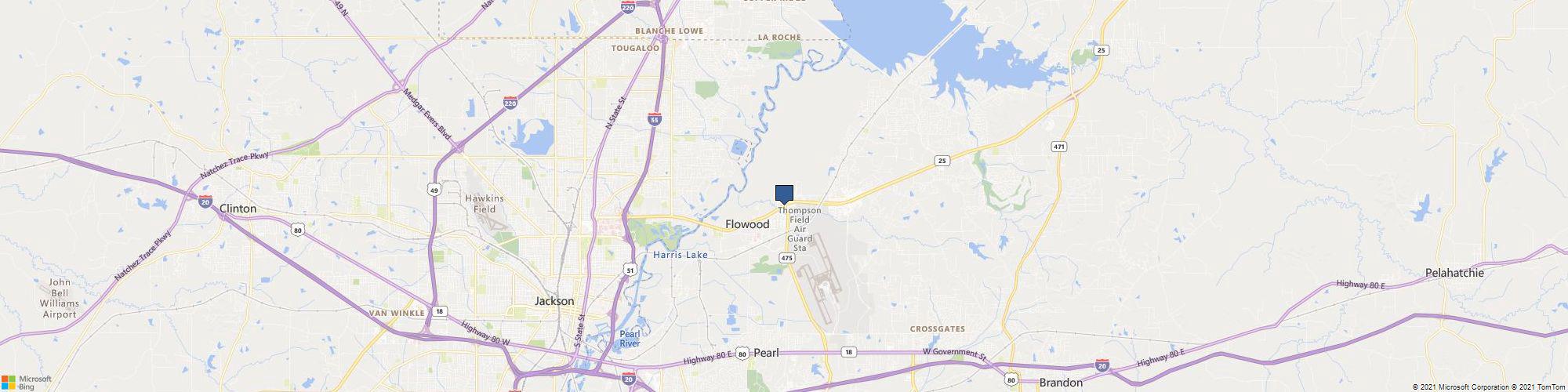 Hazel Housekeeping Diligent and Pristine LLC cover photo