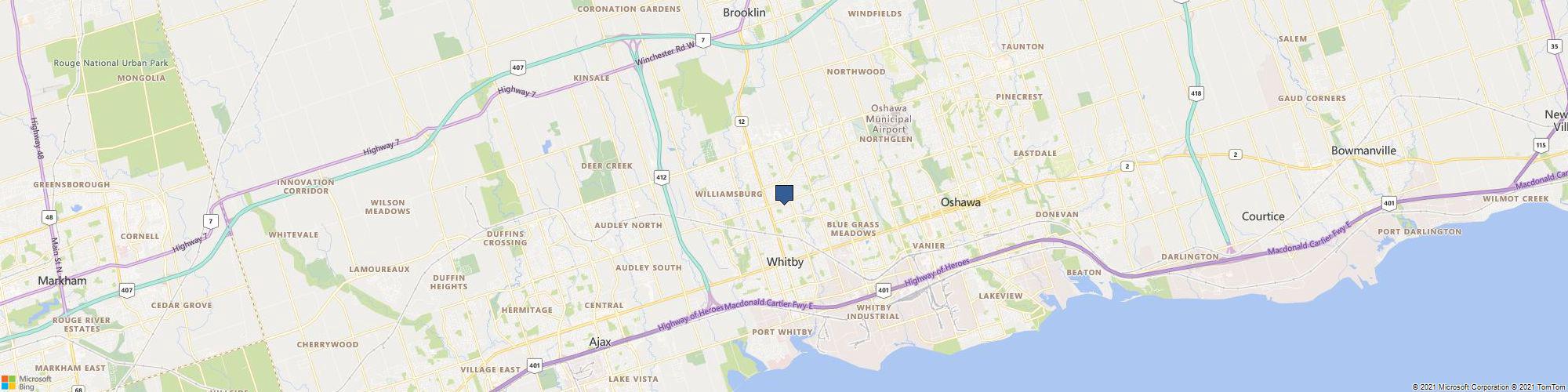 Painter Vaughan cover photo