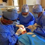 Chapel Hill Dental Care - Joseph G. Marcius, DDS - photo 7