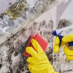 Home Energy Save Ltd - photo 1