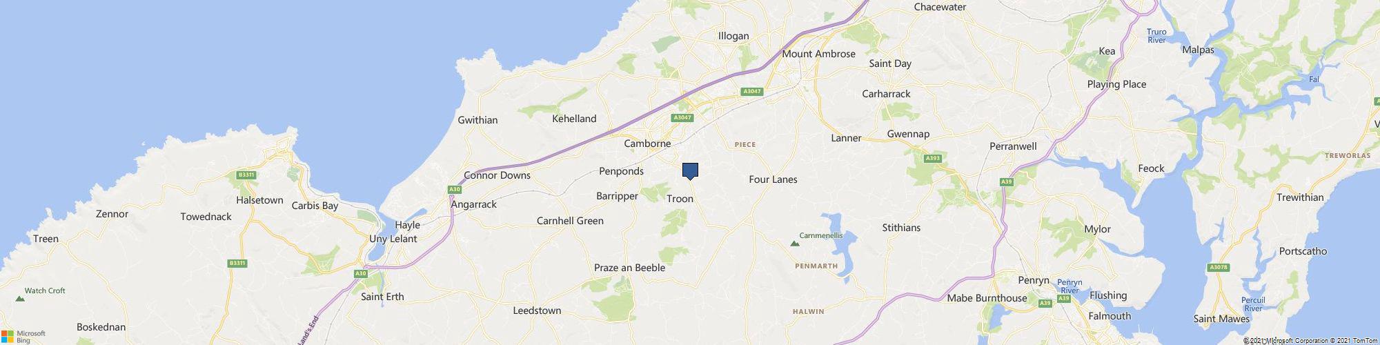 Carols Pet and Home Sitting Service cover photo