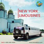 Carmellimo - photo 1