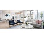 Affinity Windows - photo 2