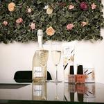 The Beauty House Bristol - photo 7