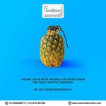 Seawind Solution Pvt Ltd - photo 2