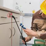 Pest Control Broadbeach - photo 3