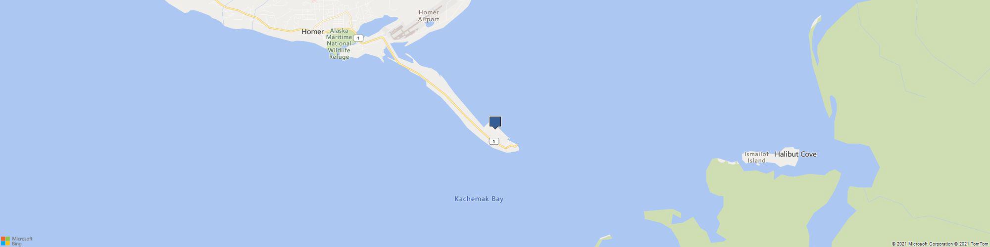 Homer Alaska Bear Viewing Tours cover photo