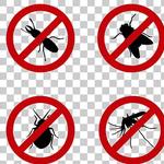 Professional Pest Control North Lakes - photo 1