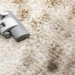 Nation Carpet Cleaning Canberra - photo 2