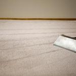 Rite Carpet Cleaning Adelaide - photo 1