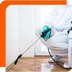 Cockroach Control Canberra - photo 1