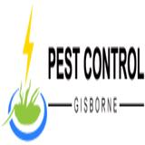 Pest Control Gisborne - Pest Control in Gisborne