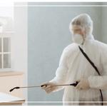 Pest Control Gisborne - photo 2