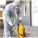 Pest Control Gisborne - photo 6