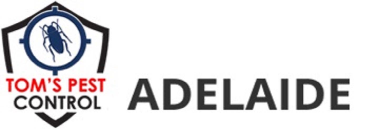 Tom's Pest Control Magill cover photo