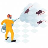 Rodent Control Canberra - Pest Control in Canberra