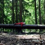 Reflections Nursery & Forest School - photo 2