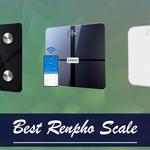 OpenScales - photo 5