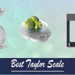 OpenScales - photo 7