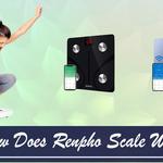 OpenScales - photo 8