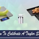 OpenScales - photo 9